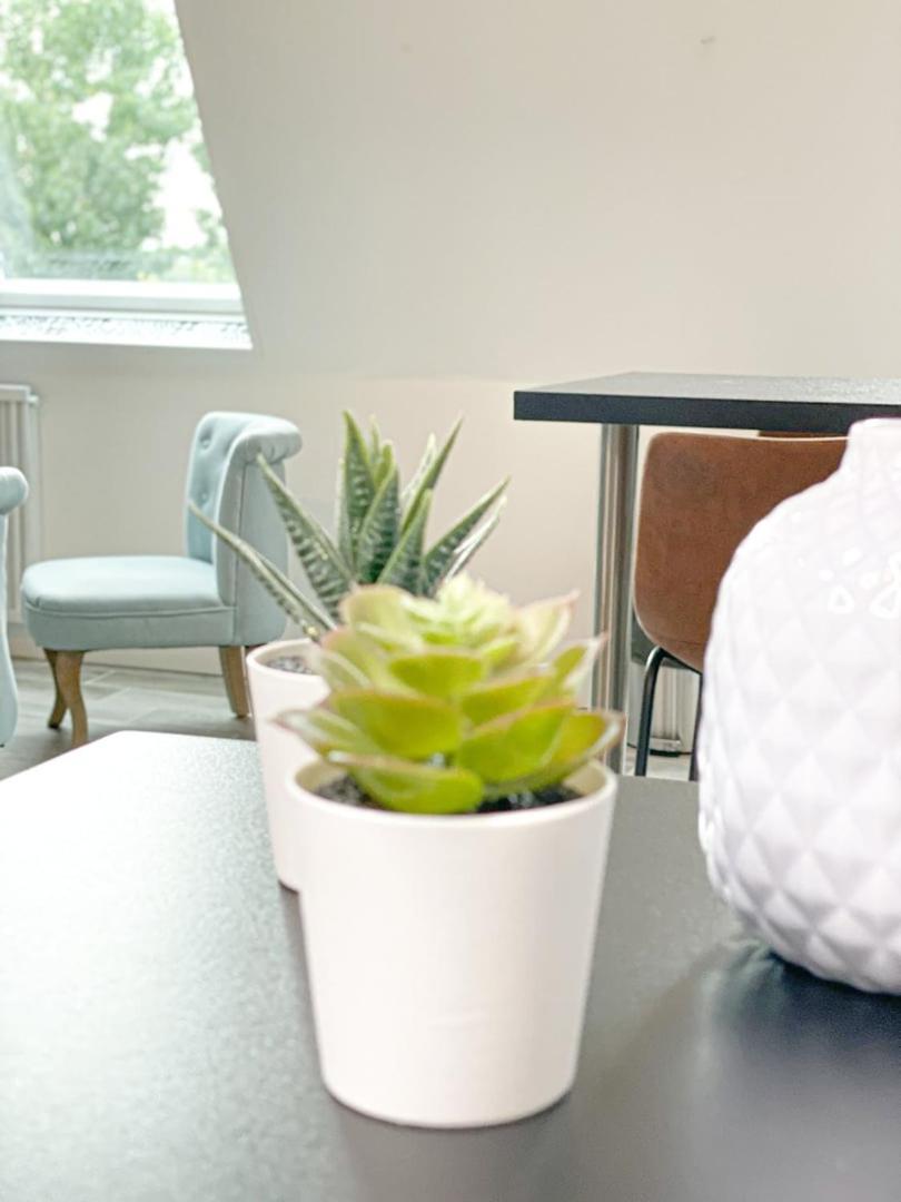 Masse Studio Cosy — Caen Lägenhet Exteriör bild