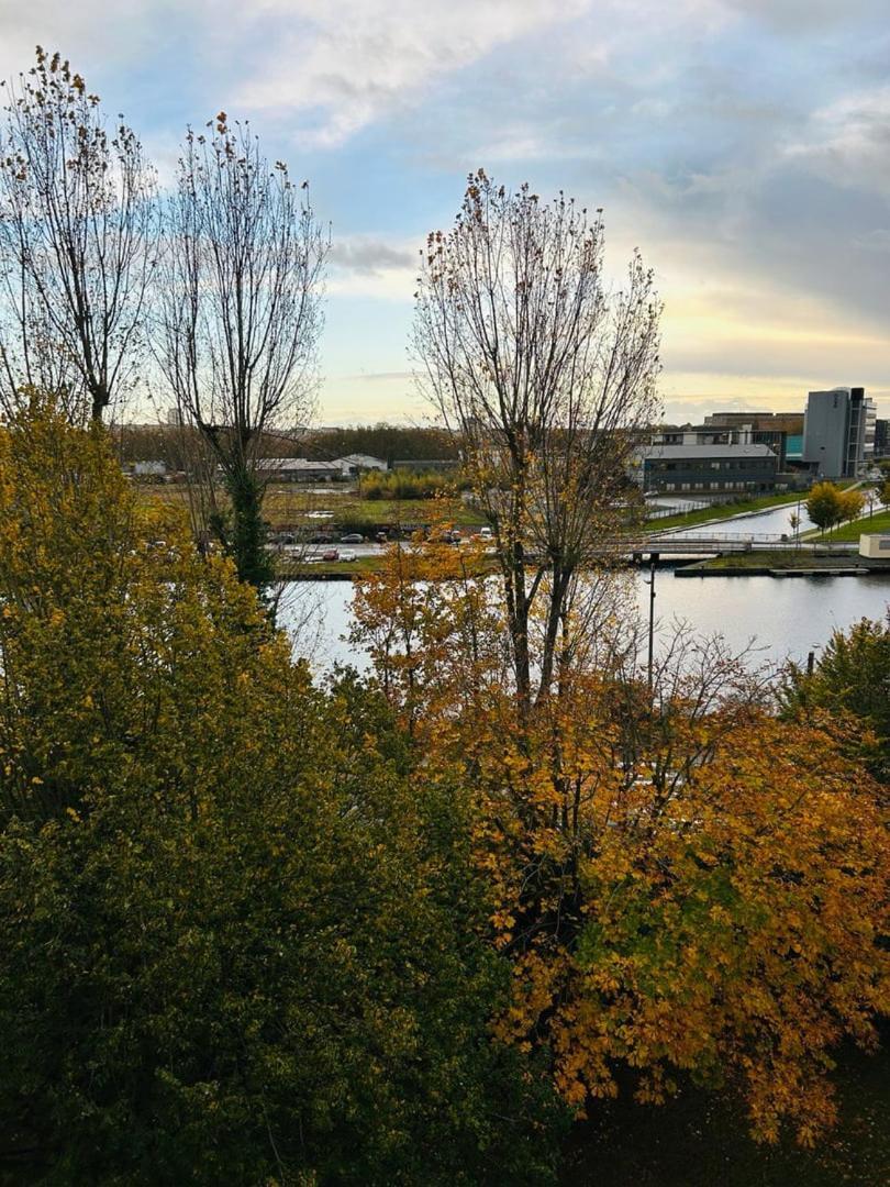 Masse Studio Cosy — Caen Lägenhet Exteriör bild
